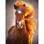 5D DIY teemantmaal  hobune  tikandid ristpistes 5D kodukaunistus 20X30CM