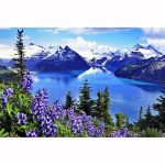 5D DIY teemantmaaling lilledega Moutain Lake Rhinestone ristpistes komplektid k&auml;sitsi valmistatud tikkimist&ouml;&ouml;d lastele 20X30CM