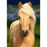 Uus 5D DIY Scenery Teemantmaaling Hobune Teemanttikandid Loomade Ristpistes T&auml;is&uuml;mmargune puur Kodukaunistuse K&auml;sitsi Kingitus Full Round 20x30CM