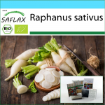 SAFLAX - Kingikomplekt - Orgaaniline - Redis - Pikk valge j&auml;&auml;purikas - 100 seemet - Koos kinkekarbi, kaardi, etiketi ja potisubstraadiga - Raphanus sativus