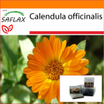 SAFLAX - Aed kotis - Pot Marygold - 50 seemet - Substraadiga sobivas p&uuml;stijas kotis - Calendula officinalis