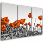 Kolmeosaline pildil&otilde;uenditr&uuml;kk Red corn poppy 60x40 punane