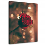 L&otilde;uenditr&uuml;kk Red Rose Flower Nature 40x60 pruun
