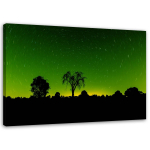 L&otilde;uenditr&uuml;kk Aurora Borealis Green Forest 60x40 roheline