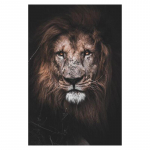 Aafrika l&otilde;vi seinakunst l&otilde;uendimaalid loomad plakatid ja prindid Aafrika kunst seinapildid kodu seinakaunistused taust seinakaunistused 20x30cm