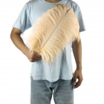 10TK 45-50cm V&auml;rvilised Suured Suled Jaanalind Laualill Laualill Pulmadekoratsioon Jaanalinnusuled &scaron;ampanjav&auml;rvi