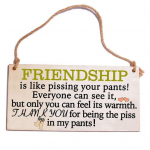 Rippuv silt Suurep&auml;rane inspireeriv s&otilde;prust&ouml;&ouml; Laialdane rakendus puidust tahvelkaunistused kingituseks 1