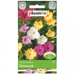 Dziwaczeki lilleseemned 3g aia jaoks