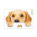 Multifilm Koer Vannitoa Kleebis Armas Veekindel Lihtne Paigaldada Eemaldada Armas Dekoratiivne