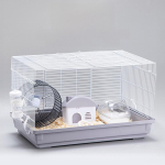 Golden Bear 47 Suur Hamstrite Puur 60 P&otilde;hitarviku ja Villaaiaga running wheels + hut + waterer + white food box
