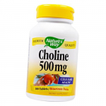 Koliin, Choline 500, Nature's Way 100 tabletti (36344007) 100tab