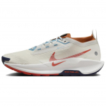 Nike Pegasus Trail 5 GORE-TEX Phantom Vintage Coral Meeste Tossud Kreemjas Tume-Ruske Denim-T&uuml;rkiis FQ0908-003 40