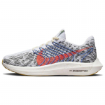 Nike Pegasus Turbo Next Nature 'Pure Platinum Bright Crimson' tossud DM3413-002 40.5