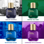 Wild Stone Meeste Parf&uuml;&uuml;mi Kingikomplekt 4x30ml &ndash; Hero | King | Chief | Boss | Premium Hoolduse ja Elustiili Kingikomplekt | Ideaalne Kingitus Erilisteks S&uuml;ndmusteks 120 ML