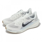 Nike Air Zoom Pegasus 41 Sail Anthracite Meeste Maanteejooksukingad FD2722-113 EU 44.5 hall v&auml;rv