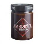 Cr&egrave;me de cacao et de noisette saine 300 gr Ambroisie
