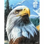 Teemanttikandid Kotka ristpiste DIY Teemantmaaling Mosaiik Teemandid Seinakleebised Kodukaunistus 50X70CM