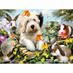 Teemantmaaling kassi ja koera j&auml;nesega tikand Teemant 5d teemantmaal t&auml;ispuur 20X30CM