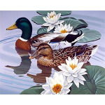 T&auml;ieliku puuriga teemantmaali pardi pilt kivist ristpistes komplektist 5d teemanttikandid loomade mosaiik k&auml;sitsi valmistatud Full Round 20x30CM