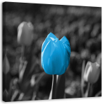 L&otilde;uendiprint Tulip Flowers Blue Grey 30x30 sinine