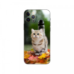 Halli kassi telefoni&uuml;mbris iPhone'ile Samsung Galaxy Redmi Xiaomi Oppo OnePlus Note SA 7 8 9 10 11 12 13 14 20 21 22 23 53 54 Pro Max Plus Ultra TPU Soft iPhone 6 or 6S