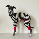 Greyhoundi riided talvised neljajalgsed kombinesoonid itaalia hurt-mantlile Whippet talvejope K&otilde;hu kaitsvad koerariided 3