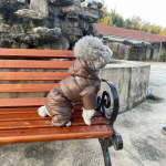 Talvine soojendusega koerajope Lemmikloomakoerte kost&uuml;&uuml;mide kutsika kerge nelja jalaga kapuutsiga mantel riided kaisukarule Big Combinaison suusale L-14 pruun