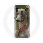 Huawei P20 Lite Greyhound Greyhoundi &uuml;mbris
