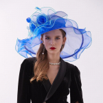 Pulmapruut Laia &auml;&auml;rega lummavad Fedora naiste k&uuml;barad naistele Organza p&auml;ikesek&uuml;barad Lillepeo Kentucky kiriku Fedorase m&uuml;ts Adjustable safiir