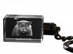 Scottish Fold - Crystal pendant with cat photo, illuminated pendant, unique gift by Art-Dog brand