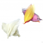 100x Mixed Catbrier Skeleton Leaves for Scrapbooking crafts