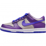Nike Dunk Low GS Wild Grape Laste tossud Lilla College-Hall Valge FB9109-007 36
