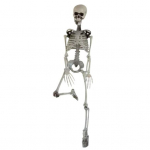 90cm Simulatsioon Inimese Skeleti Ornament Halloweeni Peo Baari Kummitusmaja Rekvisiidid valge