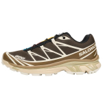 Salomon XT-6 Advanced 'Wren Kangaroo' 36
