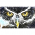 HC teemanttikandid kasside teemantmaaling ristpistes k&auml;sitsi valmistatud komplektid DIY teemant 20*30 cm