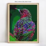 5D DIY Teemantmaaling Loomade ja lindude tikandite sooduspakkumine Rhinestones t&auml;isekraaniga teemant 20X30