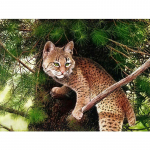 Teemantmaaling ristpistes isetehtud &uuml;mmargune teemantmosaiik teemanttikandid kassi ronimispuu 20X30CM