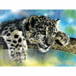 5D DIY Teemantmaaling Leopardtikandid Mosaiik Ristpistega Rhinestone Dekoratsioon 20X30CM