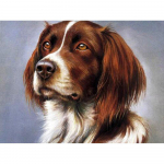 5D Teemantmaal T&auml;ispuuriga koerte kristallmaaling Teemanttikandid Loomade lambakoera pilt 20X30CM