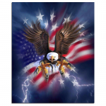 Eagle 5D DIY teemantmaal Ameerika lipp t&auml;is&uuml;mmarguse tikandiga ristpistes 20X30CM