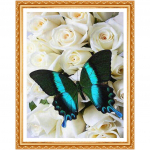 Teemantmaaling valge roosi kristallist &uuml;mmarguse teemantkomplekti kodukaunistusega tikandid lilled liblikas 20X30CM