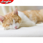 Teemantmaaling Leopardi kaunistused kodumosaiigi jaoks Teemantkunst t&auml;ispuurtikandid Loom k&auml;sitsi valmistatud kingitus 20X30CM punane