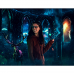 DIY teemanttikandid maalimine Ilus t&uuml;druk Teemanttikandid Ristpistes Maagiline Mets Pildid Rhinestones Mosaiic K&auml;sit&ouml;&ouml; Full Round (20X30CM)