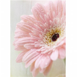 HUACAN 5D DIY teemantmaaling t&auml;isruudukujulise lillega teemanttikandite m&uuml;&uuml;gikomplekt kodukaunistuse kingitus Full Square 20*30 cm