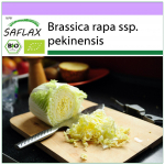SAFLAX &ndash; Mahe &ndash; Hiina kapsas &ndash; Granaat &ndash; 40 seemet &ndash; Brassica rapa