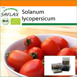 SAFLAX - Aed kotis - Orgaaniline - Tomat - Principe Borghese - 10 seemet - Substraadiga sobivas p&uuml;stises kotis - Solanum lycopersicum