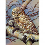 5D teemantmaaling t&auml;isring puur mosaiik &ouml;&ouml;kull n&auml;put&ouml;&ouml; DIY teemanttikandid loomad ristpistes komplektid vaik kodukaunistus Full Round 20x30CM