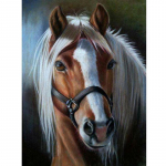DIY Horse 5D Teemantmaal t&auml;isring puur Loom Teemanttikandid Ristpistes Rhinestone Mosaiic Seinakunst Kodukaunistus Full Round 20x30CM