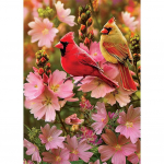 DIY 5D Teemantmaaling Loomamustrid Linnud Kasside Teemanttikandid Mosaiik Kunst Pilt Lilled Ristpistekomplekt Kodukaunistused Kingitused Full Round 20x30CM