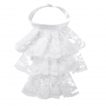 Naiste meeste eemaldatav volangidega pits Jabot Vintage viktoriaanlik v&otilde;ltskrae Exotic Cosplay kunstkaelus Choker Clubwear Steampunk krae valge